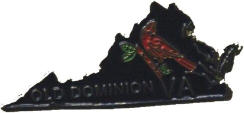 State Shaped Pin, Hat, Tie, Lapel, Etc. (Pick Any State) in Saudi Arabia