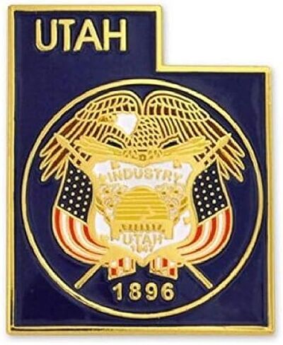 State Shaped Pin, Hat, Tie, Lapel, Etc. (Pick Any State) in Saudi Arabia