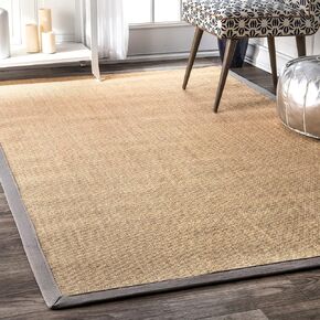 nuLOOM Orsay Casual Sisal Accent Rug, 3x5, Beige