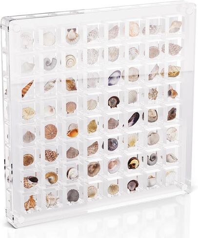 Acrylic Seashell Display Box, 36 Grids Shell Display Box, Clear Acrylic Seashell Display Box, Tiny Treasure Hunting Seashell Display（36 Grids in Saudi Arabia