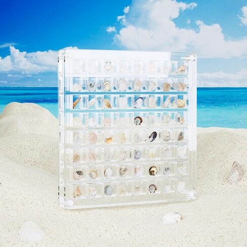 Acrylic Seashell Display Box, 36 Grids Shell Display Box, Clear Acrylic Seashell Display Box, Tiny Treasure Hunting Seashell Display（36 Grids in Saudi Arabia