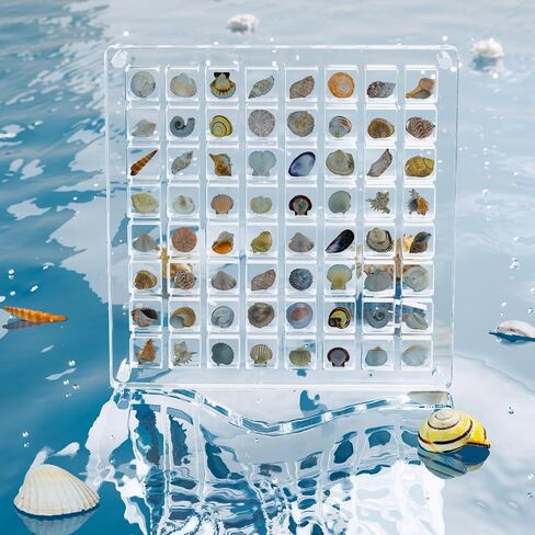 Acrylic Seashell Display Box, 36 Grids Shell Display Box, Clear Acrylic Seashell Display Box, Tiny Treasure Hunting Seashell Display（36 Grids in Saudi Arabia
