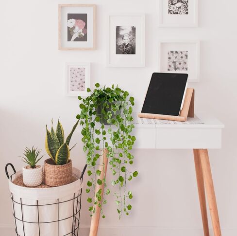 Artificial Hanging Plants Fake Plants with Pot and Hook for Home Indoor Outdoor décor (Eucalyptus) in Saudi Arabia