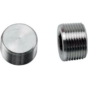 304 Stainless Steel 1/8" NPT Countersunk Internal Hex Thread Socket Pipe Plug Male Thread Fitting, 2 Pack (1/8" NPT, 2)
