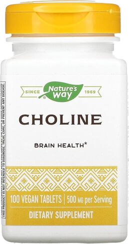 Natures Way 500Mg 100 Tb Choline, 100 CT in Saudi Arabia