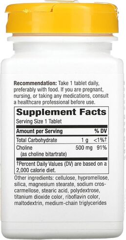 Natures Way 500Mg 100 Tb Choline, 100 CT in Saudi Arabia