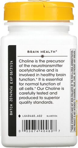 Natures Way 500Mg 100 Tb Choline, 100 CT in Saudi Arabia