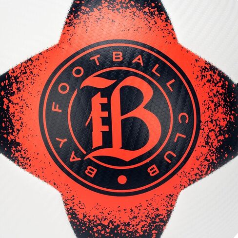Franklin Sports NWSL Team Soccer Balls - Soccer Balls for Kids + Adults - Boys + Girls Soccer Balls - Official NWSL Team Soccer Ball - Available in Official Size 5 or Mini Size 1 in Saudi Arabia