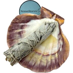12 pc Sage Smudge Kit with Palo Santo Sticks, 4"-5" White Sage Smudge Sticks, 1 oz. White Sage Loose, 5"-6" Lion's Paw Shell, 6" Tripod Stand, & Feather | All Natural for Home Cleansing JC-229