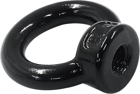 Hordion 6PCS M6 Eye Nuts, Stainless Steel Lifting Eye Nut Fastener Ring Shape EyeNut in Kuwait