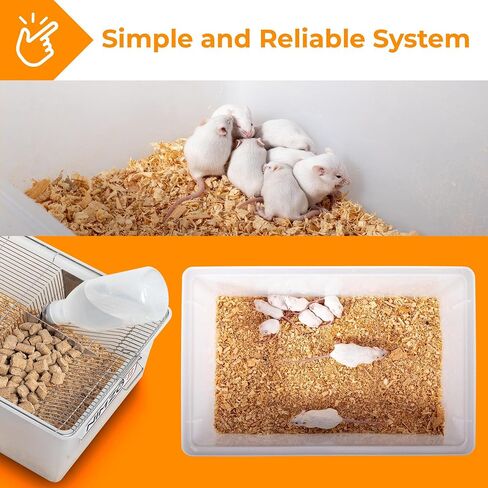 Nimzo Large Laboratory Rodent Breeding Cage - Rat Breeding Lab Cage, Large Mouse Lab Breeding Cage, Rat Cage & Mouse Cage with 500ml Bottle, 3-Pack in Saudi Arabia