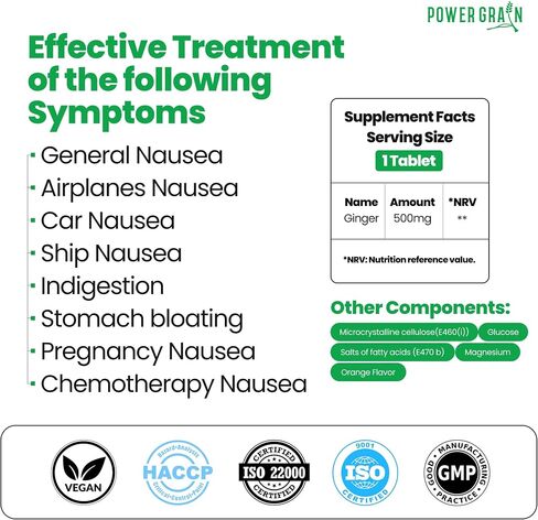 Motion Sickness Relief - 500mg Chewable Ginger Rhizome Tablets - Non-Drowsy Nausea & Vomiting Relief - Mint Flavored - 10 Tablets in Saudi Arabia