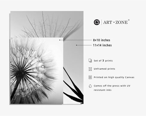 Black and White Wall Art Prints Posters Minimalist Decor, 8x10 Canvas Prints Unframed Set of 3, Plant Posters Aesthetic for Living Room in Kuwait