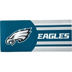 Team Sports America NFL Las Vegas Raiders Sassafras Switch Mat Inserts, Interchangeable Front Door Mat Outdoor Entrance, Indoor Door Mats for Entryway, 22 x 10 Inches Sassafras Doormat Inserts
