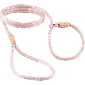 Alvalley Nylon Slip Leashes with Braided Leather - Adjustable Pet Lead for Dogs - Soft, Smooth Leash for Training & Walking - Durable, Strong Rope (Beige, 4ft Long, 6mm Thick)