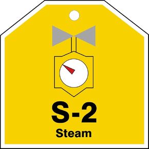 بطاقة تعريف على شكل مصدر الطاقة البلاستيكية "S-2 Steam" من Accuform TDJ102VPE، 2-1/2 بوصة عرض × 2-1/2 بوصة طول، أسود/رمادي/أحمر/أبيض على أصفر