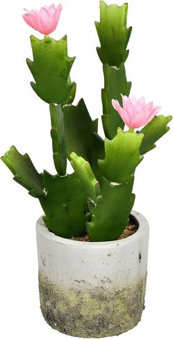 Vickerman Everyday 18" Indoor Artificial Green Cactus in Cement Pot - Pre-Made Potted Cactus - Durable Plastic Plant in Cement Pot - Maintenance Free in Saudi Arabia