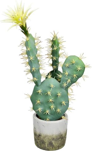 Vickerman Everyday 18" Indoor Artificial Green Cactus in Cement Pot - Pre-Made Potted Cactus - Durable Plastic Plant in Cement Pot - Maintenance Free in Saudi Arabia