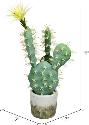 Vickerman Everyday 18" Indoor Artificial Green Cactus in Cement Pot - Pre-Made Potted Cactus - Durable Plastic Plant in Cement Pot - Maintenance Free in Saudi Arabia