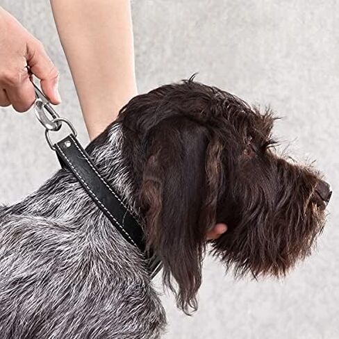 Mandala Crafts Swivel Snap Hooks Heavy Duty Trigger for Dog Leash Clip - Clasp for Bags Backpacks Straps Harnesses - Snaphooks 10 Pieces 3.25 Inches in Saudi Arabia