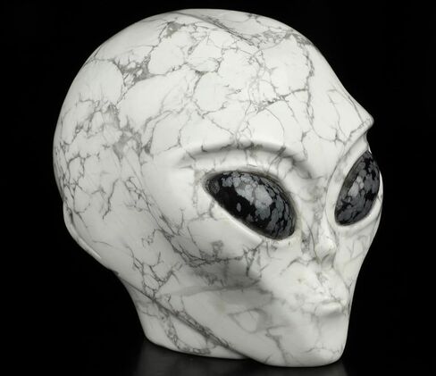 5.0" Howlite Crystal Skull, Hand Carved Gemstone Fine Art Sculpture, Reiki Healing Stone Statue. in Saudi Arabia