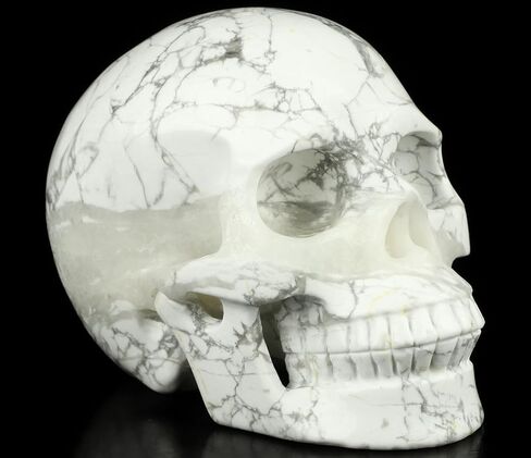 5.0" Howlite Crystal Skull, Hand Carved Gemstone Fine Art Sculpture, Reiki Healing Stone Statue. in Saudi Arabia