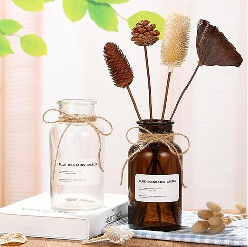 1PC زجاج برعم زهرية مجموعة الجرار الصيدلية زجاجات العطر واضحة زجاج صغير ريفي الزهور زهرية خمر الطب زجاجات البسيطة زهرة المزهريات المركزية الزفاف المنزل رف الكتب ديكور الجدول (4oz) in Kuwait