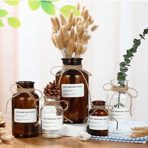 1PC زجاج برعم زهرية مجموعة الجرار الصيدلية زجاجات العطر واضحة زجاج صغير ريفي الزهور زهرية خمر الطب زجاجات البسيطة زهرة المزهريات المركزية الزفاف المنزل رف الكتب ديكور الجدول (4oz) in Kuwait