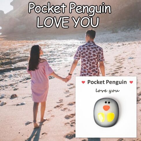 Happy Birthday Pocket Hug for Mom Dad Grandma Grandpa Birthday Gift for Daughter Son Granddaughter Grandson Niece Nephew Friend Pocket Penguin for Girlfriend Boyfriend Husband Wife Birthday Gift Idea in Kuwait