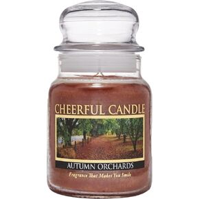 A Cheerful Giver - Orange Cinnamon Clove Scented Glass Jar Candle (24 oz) with Lid & True to Life Fragrance Made in USA
