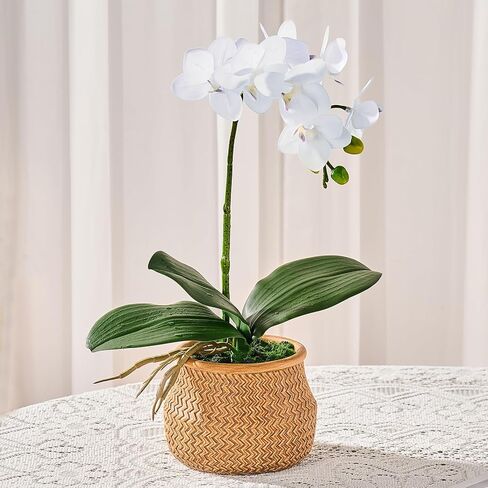 Artificial Orchids in Pot, Real Touch, Artfully Crafted Phaleanopsis Bonsai, Faux Orchid, Fake Orchid Flowers White with a Silver Ceramic Vase, Perfect for Home, Office,Hotel Decor in Saudi Arabia