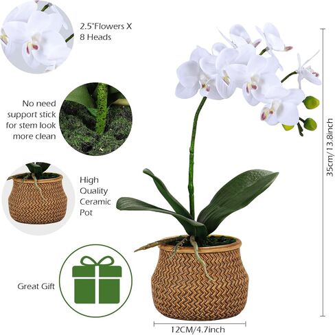 Artificial Orchids in Pot, Real Touch, Artfully Crafted Phaleanopsis Bonsai, Faux Orchid, Fake Orchid Flowers White with a Silver Ceramic Vase, Perfect for Home, Office,Hotel Decor in Saudi Arabia