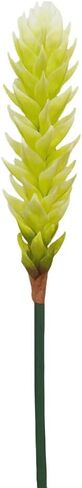 XZJMY 40.5in.Bromeliad زهور حرير صناعية استوائية تقليد باقات زهور نباتية لتزيين غرفة رف المطبخ، طول الزهرة 16 بوصة (قطعة واحدة، أحمر) in Kuwait