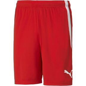 PUMA Men's Teamliga Shorts