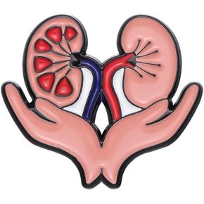 Kidney Anatomy Enamel Brooch Pin for Medical Student Doctor Nurse Urology Nephrology