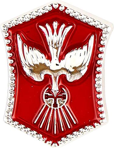 Dove Confirmation Lapel Pin, Accessory for Religious Gatherings and Sacramental Celebrations, Confirmation Gifts for Catholics, 0.75 Inches, Zinc, no gemstone in Kuwait