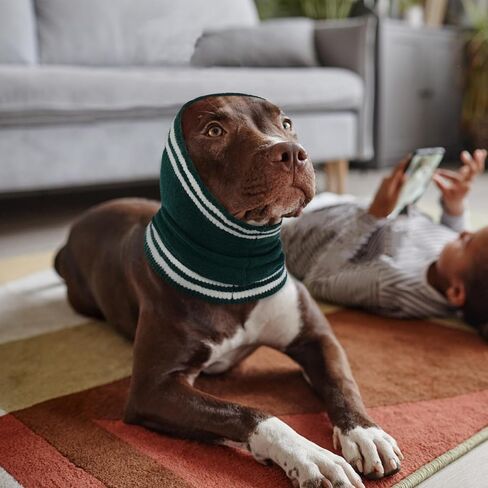 Nanaki Dog Ear Covers for Noise Bath No Shake Ear Wraps for Dogs Hematoma Dog Fireworks Anxiety Relief Calming Hoodie Dog Grooming Ear Cover Quiet Dog Head Wrap Force Drying Thunderstorm Ears for Dogs in Kuwait