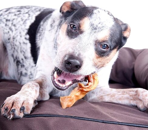 شرائط آذان الخنزير من Downtown Pet Supply - علاج الكلاب للكلاب الصغيرة - علاج أسنان الكلاب ومضغ الكلاب الخالي من الجلود الخام - يعزز المعطف الصحي والعناية بالبشرة - غني بالبروتين والفيتامينات والمعادن - 2 رطل in Saudi Arabia