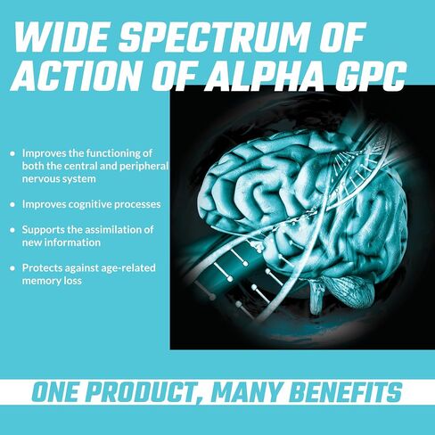 APOLLO'S HEGEMONY Alpha GPC (Cholina) 90 KAPS. in Saudi Arabia