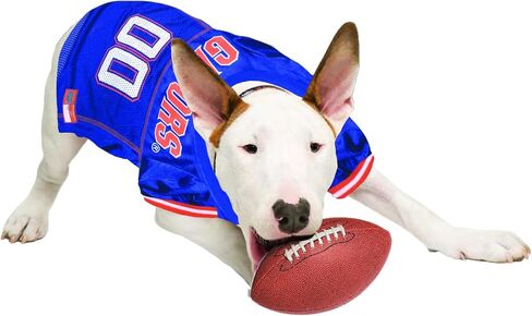 NCAA College Florida Gators Mesh Jersey for DOGS & CATS, XXX-Large. Licensed Big Dog Jersey with your Favorite Football/Basketball College Team in Saudi Arabia