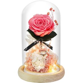 HVY Preserved Real Flowers in Glass Dome,Eternal Rose Present with Led Light Beauty and The Beast Rose for Women Mom Wife Ideal for Valentine's Day, Birthday, Anniversary,Mother's Day(Red Rose)