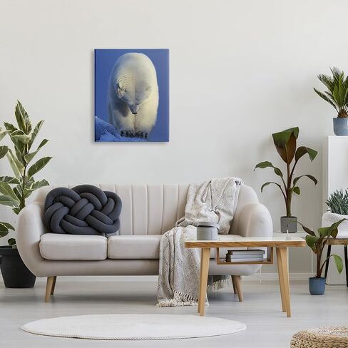 Stupell Industries Polar Bear Photography Canvas Wall Art by © Shane Lamb in Saudi Arabia