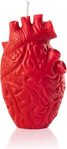 Zainpe Anatomical Heart Shaped Candle Gift Pine Fragrance Natural Soy Wax Handmade Aromatherapy Candle Home Aesthetic Decor Desk Decoration for House Bedroom Party Supplies Rose Pink 2.4 x 4.1 in in Kuwait