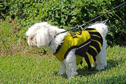Pets First Collegiate University of Iowa Hawkeyes Dog Cheerleader Dress, X-Small in Saudi Arabia