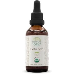 Gotu Kola B60 USDA Organic Tincture | Alcohol-Free Extract, High-Potency Herbal Drops | Certified Organic Gotu Kola (Centella asiatica) Dried Herb (2 oz)