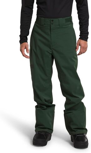 بنطال Freedom القابل للتمدد للرجال من THE NORTH FACE - عادي، إبرة صنوبر، متوسط ​​عادي in Kuwait