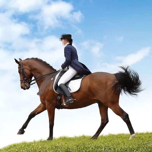 Horse Crop, Faux Leather Riding Crop With Anti-Slip Grip Gel Handle 13.8 inch/35cm (Black and Silver) in Kuwait