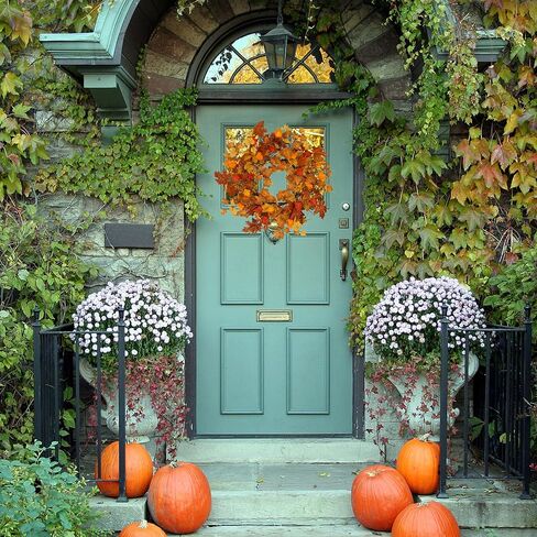 أكاليل الخريف الاصطناعية للباب الأمامي إكليل البلوط الخريفي مع أوراق البلوط والجوز والتوت والرمان للباب الأمامي الداخلي والخارجي ومزرعة المنزل ونافذة الحائط وديكور الزفاف in Kuwait