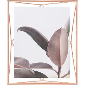 PRISMA PHOTO DISPLAY