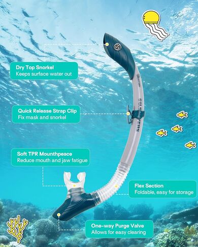 OutdoorMaster x U.S. Divers Cozumel TX Combo Snorkeling Gear for Adults, Dry Snorkel Set Panoramic View Anti-Fog Anti-Leak Swim Mask, Scuba Diving Swimming Snorkel Kit in Saudi Arabia